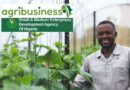 Federal Government ADEP Program  2025 – SMEDAN AgriBusiness Empowerment and Development Program
