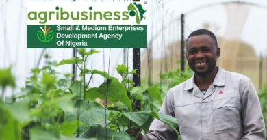 Federal Government ADEP Program  2025 – SMEDAN AgriBusiness Empowerment and Development Program